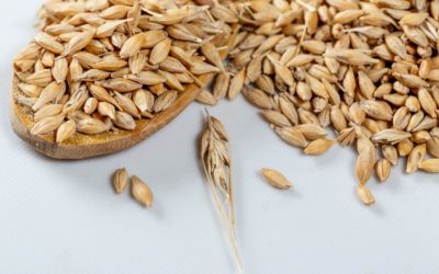Ghiott ingredients: discover all the benefits of oats